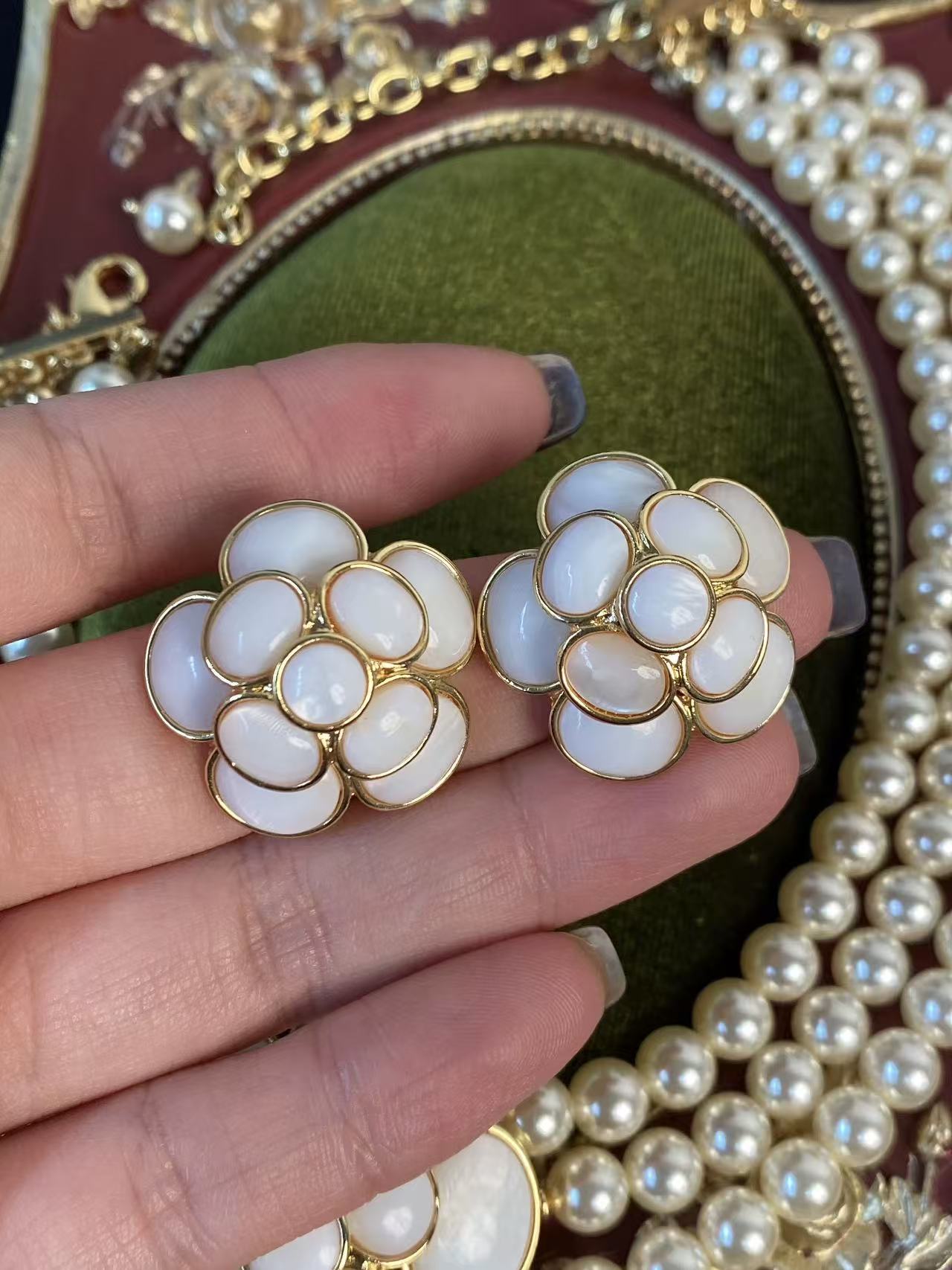 Parisian Camellia Grand Collection