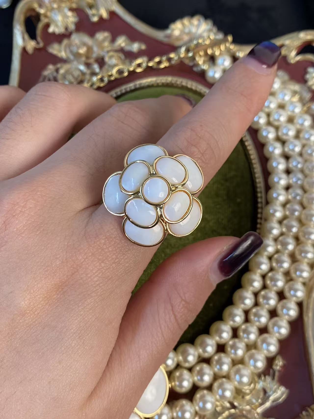 Parisian Camellia Grand Collection